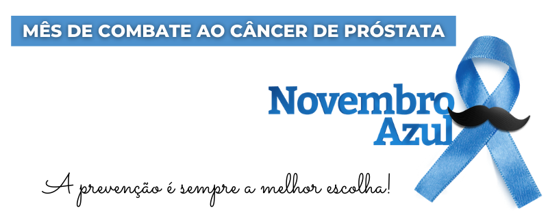 Períodicos do Mês de Novembro 2020